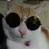 /images/wstouxiang/6282115788646.png