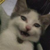 /images/wstouxiang/6282115792900.png