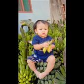 /images/wstouxiang/6282132077479.png