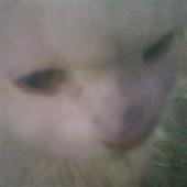 /images/wstouxiang/6282132200673.png