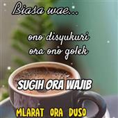 /images/wstouxiang/6282132323716.png