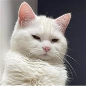 /images/wstouxiang/6282132439730.png