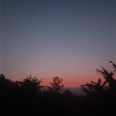 /images/wstouxiang/6282132460120.png