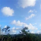 /images/wstouxiang/6282132551299.png