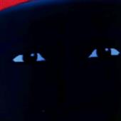 theS