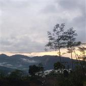 /images/wstouxiang/6282132706712.png