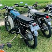 ngày