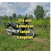 /images/wstouxiang/6282132840644.png