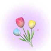 /images/wstouxiang/6282132964644.png