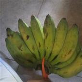 /images/wstouxiang/6282137166345.png