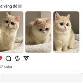 /images/wstouxiang/6282137620927.png