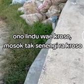 /images/wstouxiang/6282137770417.png