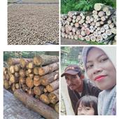 /images/wstouxiang/6282137825009.png