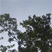/images/wstouxiang/6282137900825.png
