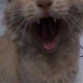 /images/wstouxiang/6282137924107.png