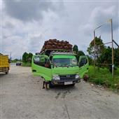 /images/wstouxiang/6282148826838.png