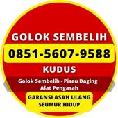 /images/wstouxiang/6285156079588.png