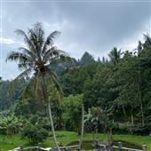 /images/wstouxiang/6285156136005.png