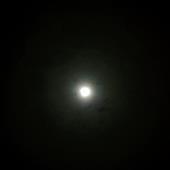 /images/wstouxiang/6285156203553.png