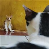 /images/wstouxiang/6285156232629.png