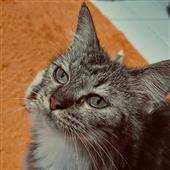 /images/wstouxiang/6285156242064.png
