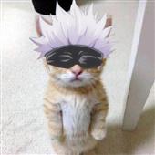 /images/wstouxiang/6285156616642.png
