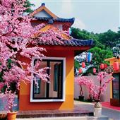 /images/wstouxiang/6285156697892.png