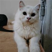 /images/wstouxiang/6285156733205.png