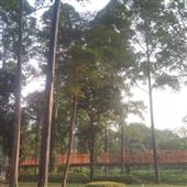 /images/wstouxiang/6285156778824.png