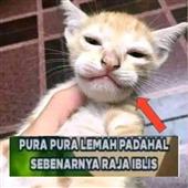 /images/wstouxiang/6285156857740.png