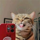 /images/wstouxiang/6285156928913.png
