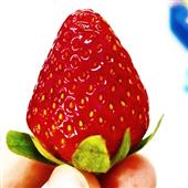 /images/wstouxiang/6285156940679.png