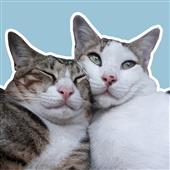 /images/wstouxiang/6285156941860.png