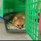 /images/wstouxiang/6285156972788.png
