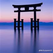 /images/wstouxiang/6285236240228.png