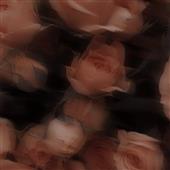 /images/wstouxiang/6285236758626.png