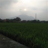 /images/wstouxiang/6285732111722.png