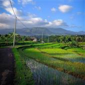 Nghi