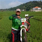 Trực